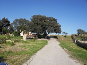 Landschaft Mallorca  
